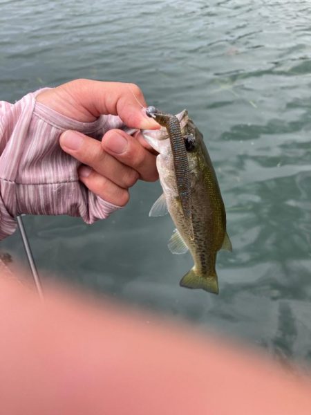 ジグヘッドで丁寧に釣りをすると