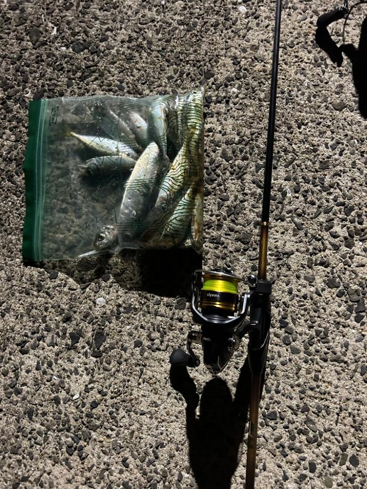 今までやってきたことの集大成