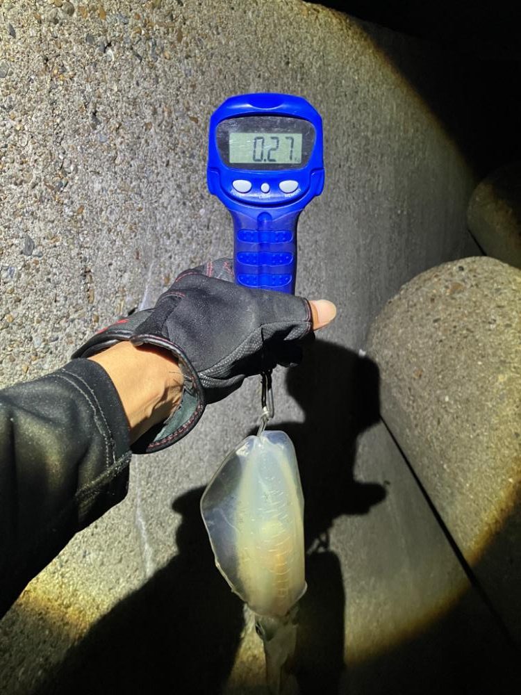 月夜のナイトエギング(^.^)タコも