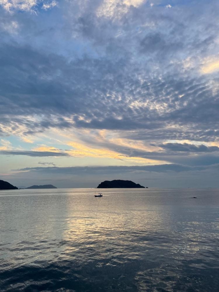 アジ後、カマス祭り