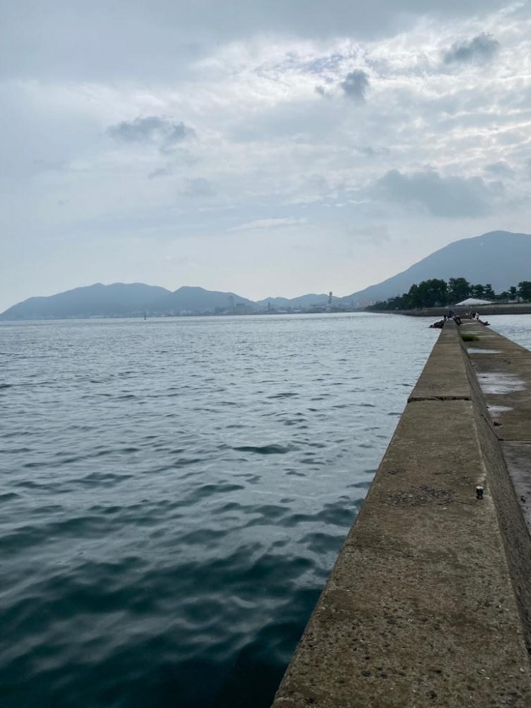 アオリイカ新子調査