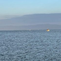 去年の爆釣日‼️ 今年は、、、