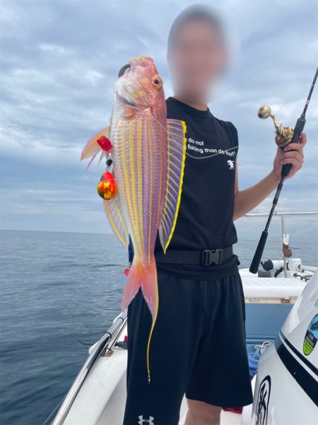 真鯛激渋でした