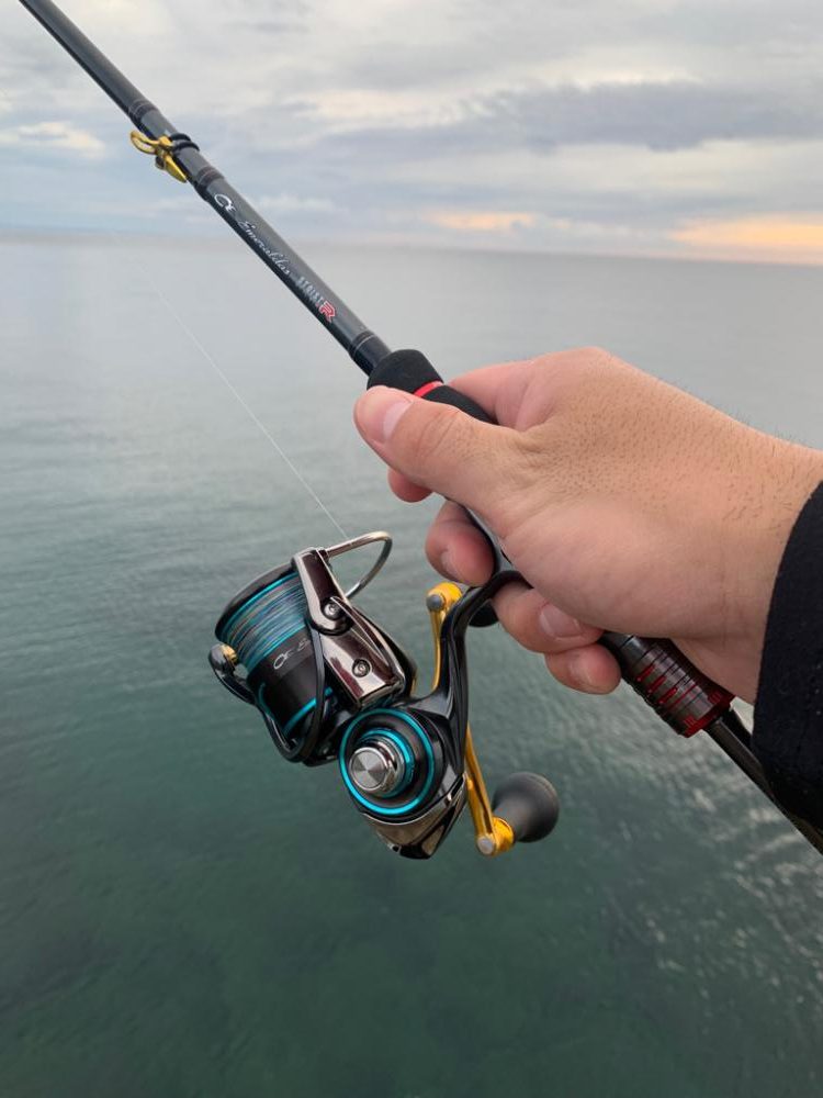 自己記録更新のエギングナイト&デイゲーム