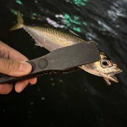 ジグヘッド形状