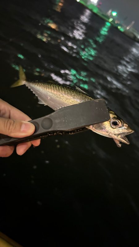 ジグヘッド形状