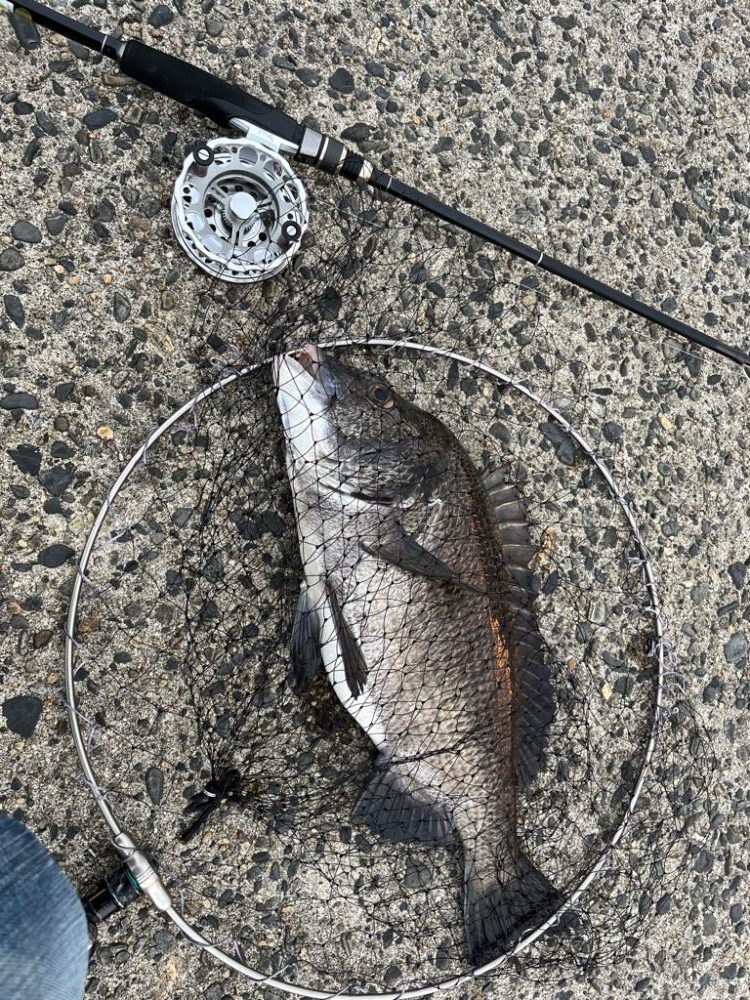 イベント追い込み