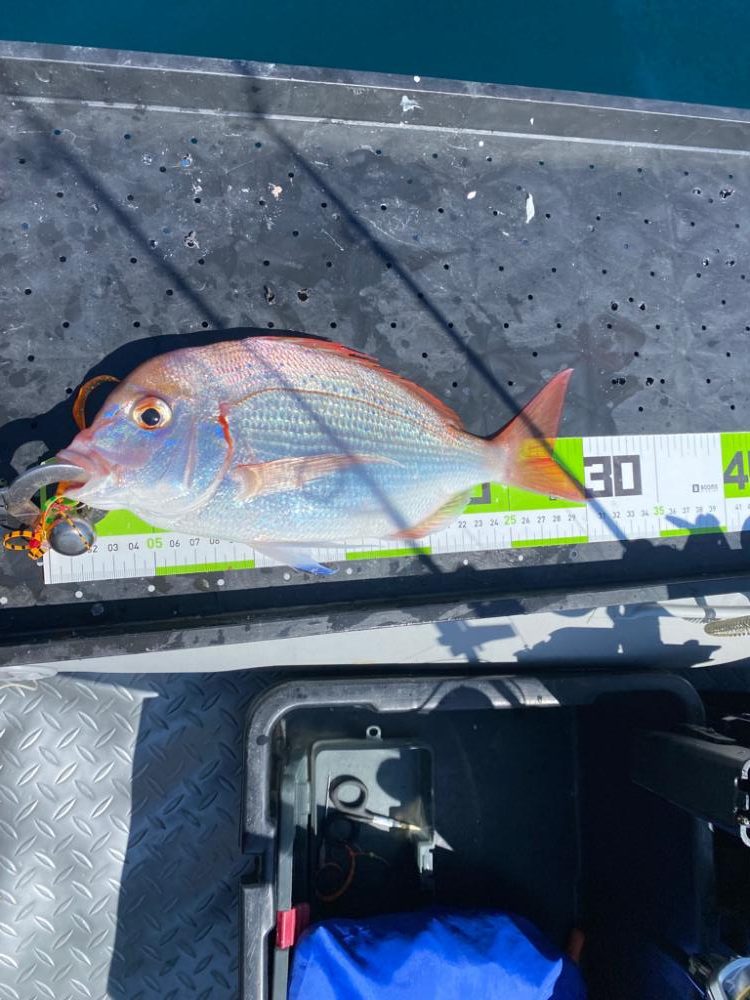 マイボート釣行