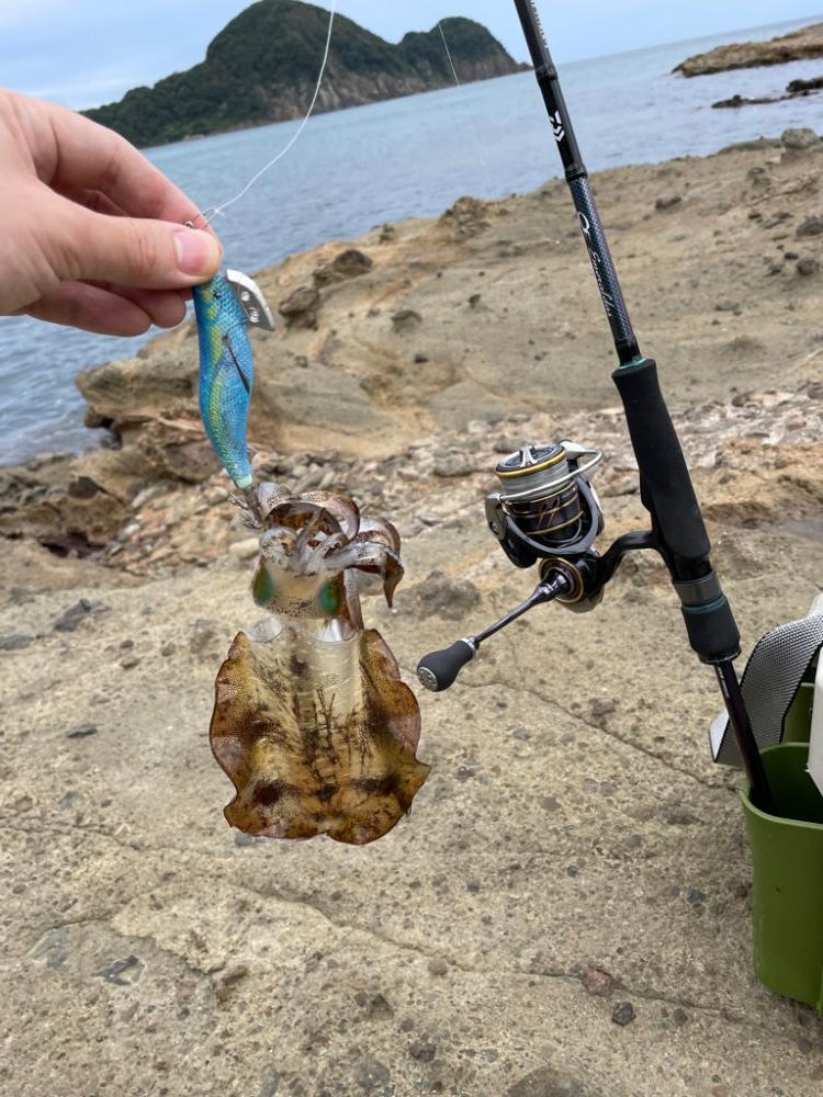 秋イカ開幕。好調スタート!