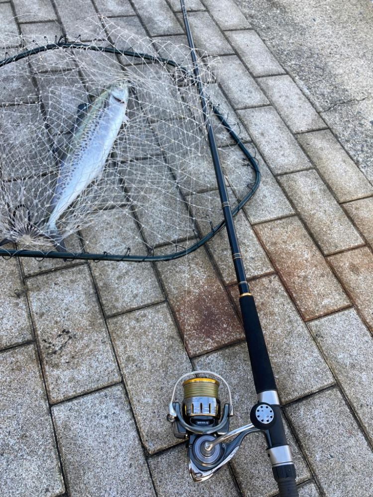 ⭐️ハットトリック