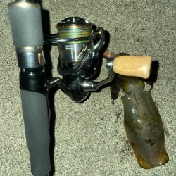 サイズが良い⭕️