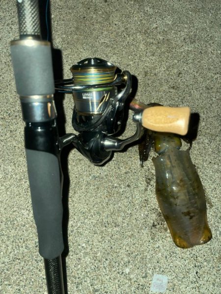 サイズが良い⭕️