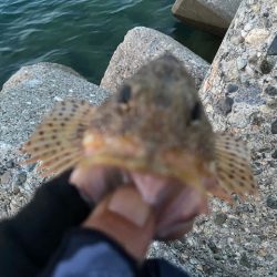 現地でラインを移植することにｗ