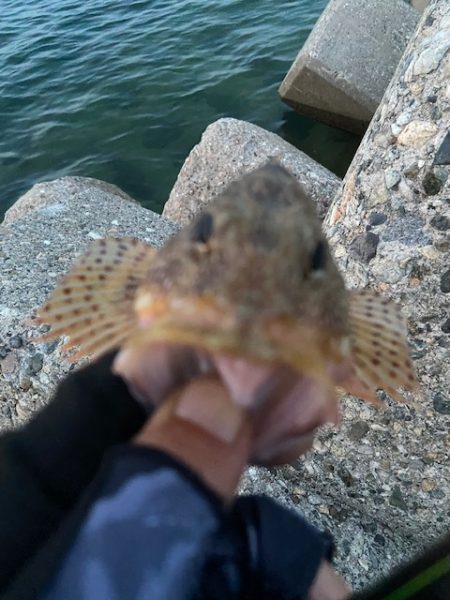 現地でラインを移植することにｗ