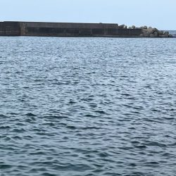 初めてのエリアでワクワク釣行だけど何処も厳しい!