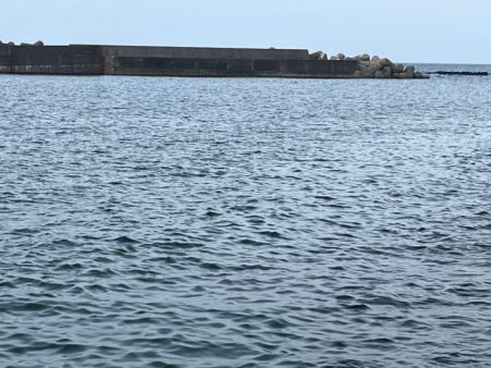 初めてのエリアでワクワク釣行だけど何処も厳しい!