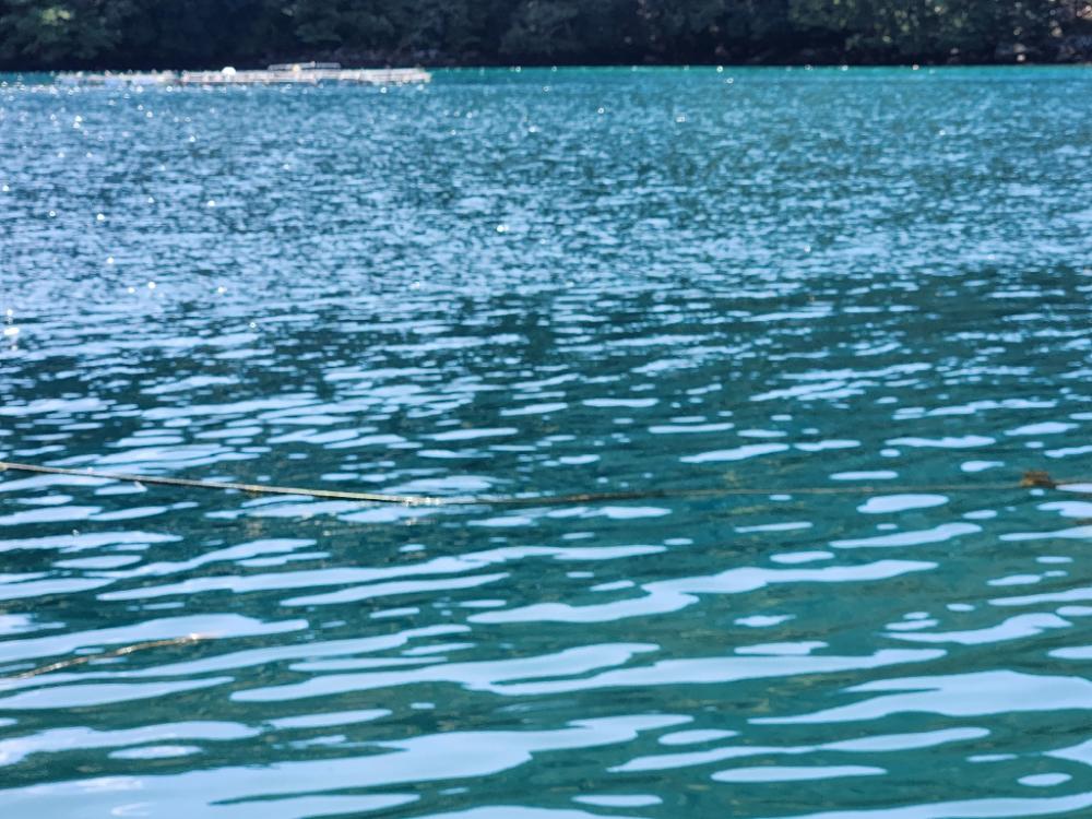 なかなかの引きでした