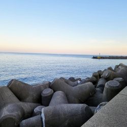 一年振りのエギング！