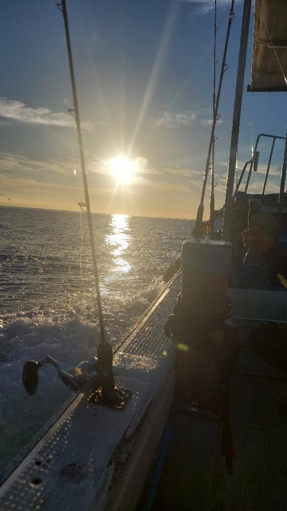 沼島のジギングと落とし込み