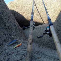 プチsalt water game