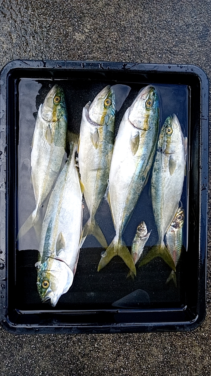 まだまだ夏を引きずってる感じ！