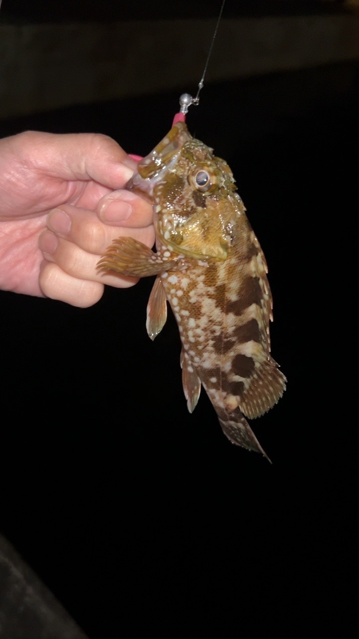 久しぶりの投稿