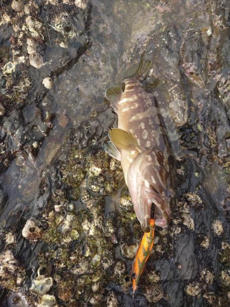 曇時々雷雨エギングIN対馬
