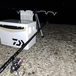 台風あとの濁りを攻める