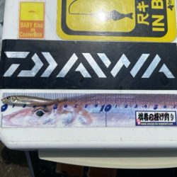 錦江町で投げ釣り