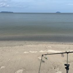 虹ノ松原はキスの群れが凄かった