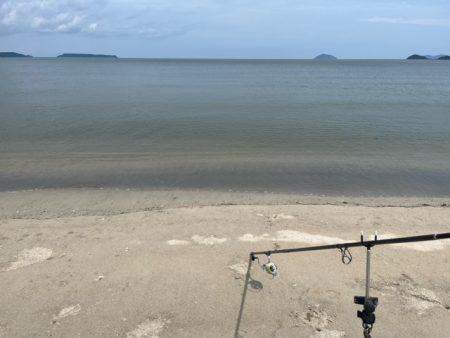 虹ノ松原はキスの群れが凄かった