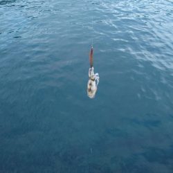 久凪エギングIN対馬