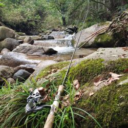 秋ヤマメ出たので満足でシーズン閉幕