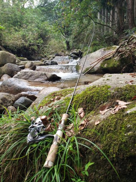 秋ヤマメ出たので満足でシーズン閉幕