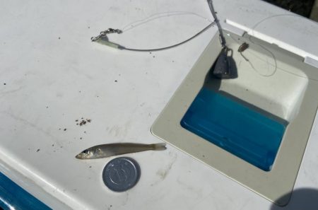 ちょい投げシロギスタのプチ穴残業