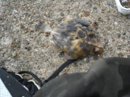 久しぶりの林崎漁港