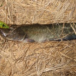 秋のハイシーズンまでもう少し