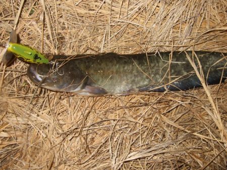 秋のハイシーズンまでもう少し