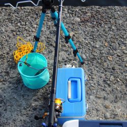 エビ撒きで恒例の５目釣り