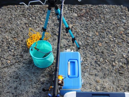 エビ撒きで恒例の５目釣り