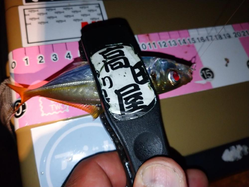 相変わらずの激渋アジング