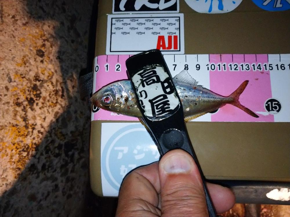 今夜もポロリアジング