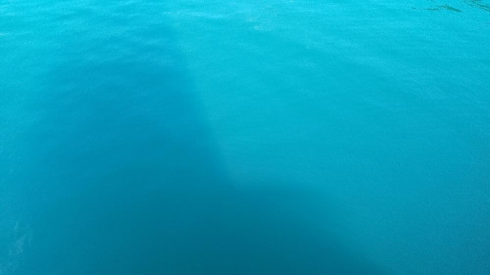 久しぶりのエギング