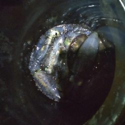 スランプのティップラン