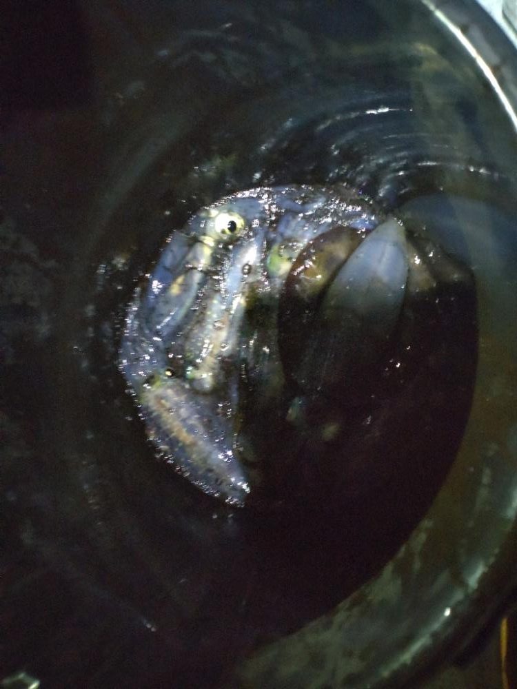 スランプのティップラン