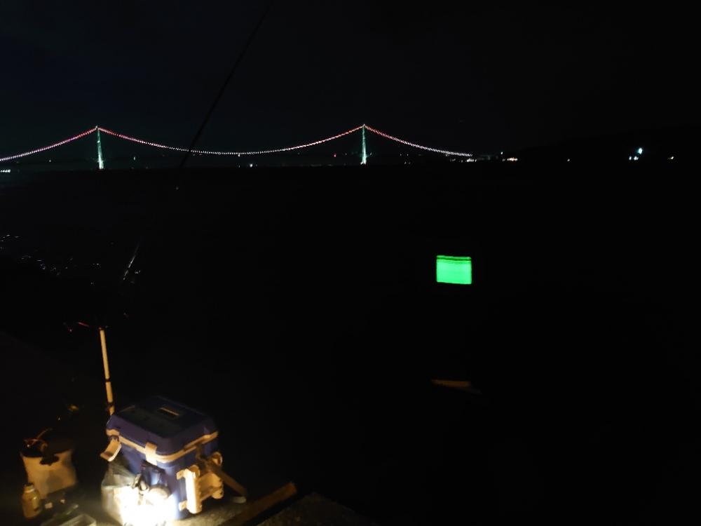 タチウオ狙い🎣