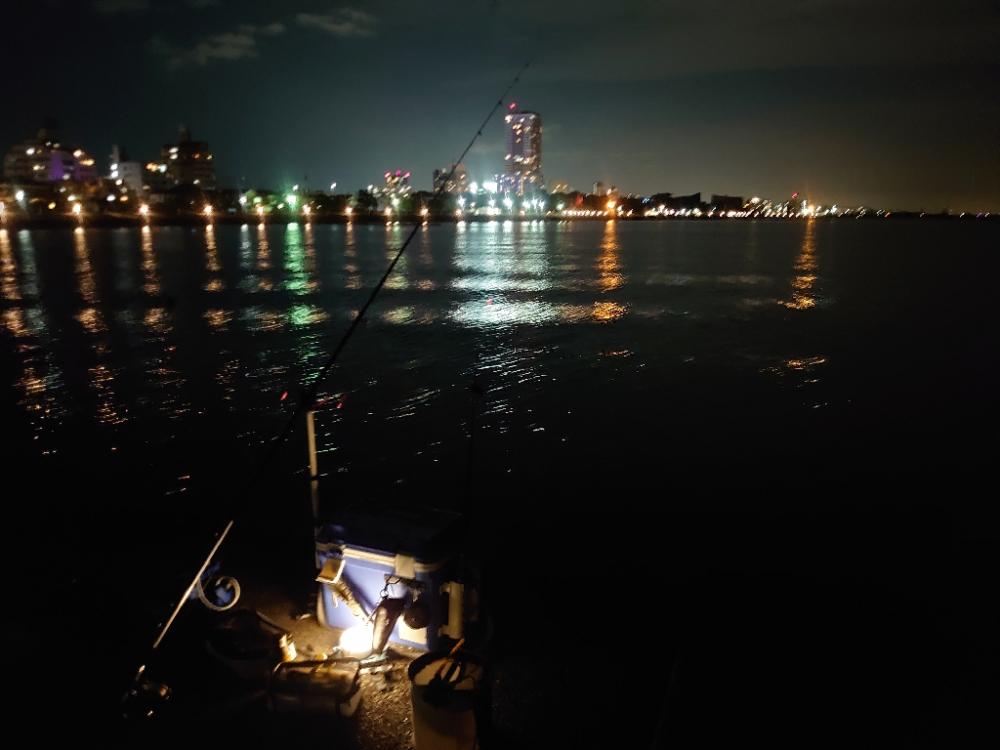 エビ撒き釣りチャレンジ Part.5からのアジング🎣