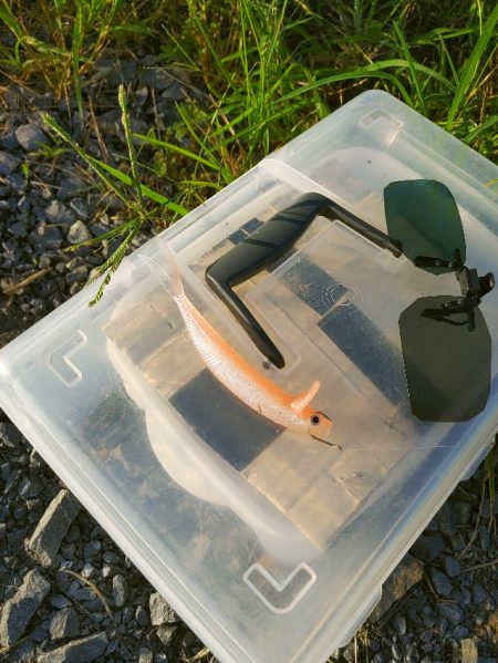 初めてブラックバス釣りました(^^)