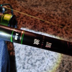 セイゴ24cmを3匹