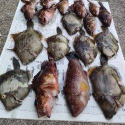 カワハギ釣り。えさ政から